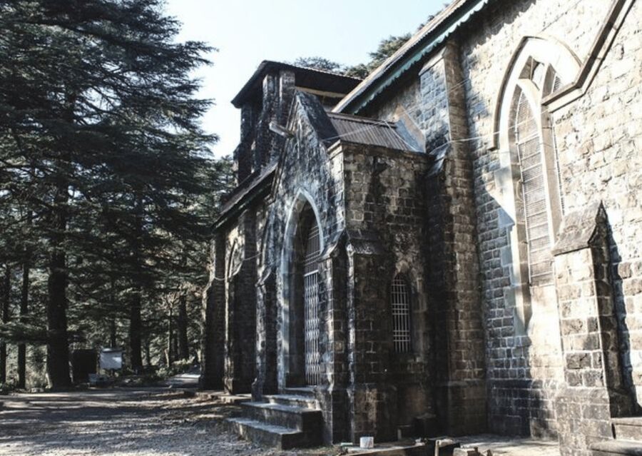 Mcleodganj Nature Trek (3 Hours Guided Walking Tour) - A three-hour introduction to McLeodganj