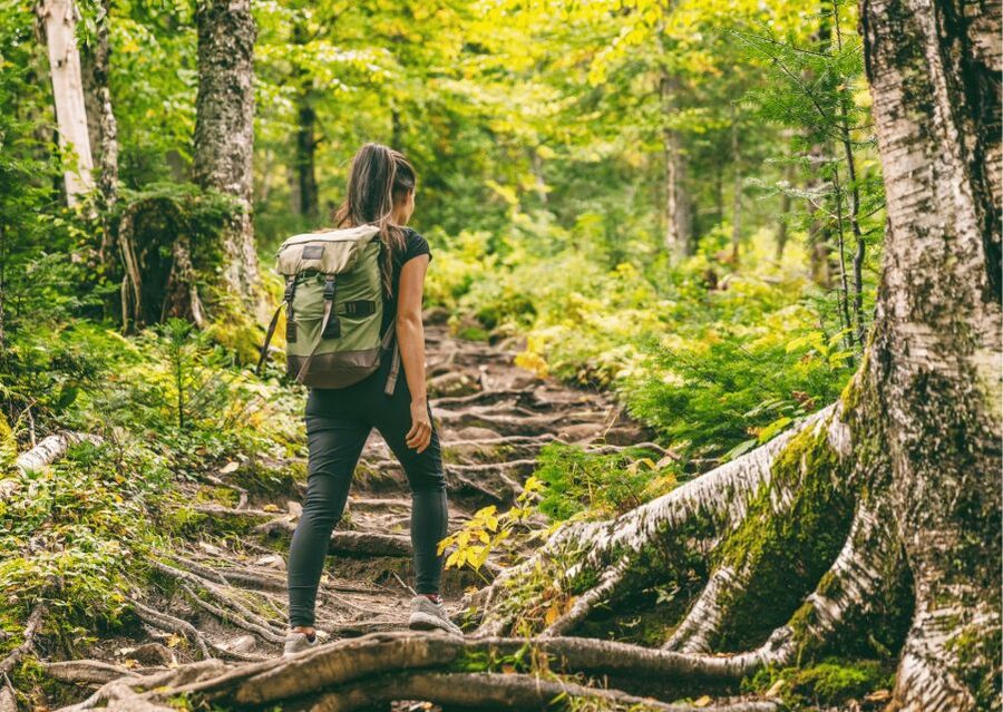 Mcleodganj Nature Trek (3 Hours Guided Walking Tour) - Namgyal Monastery in 20 minutes