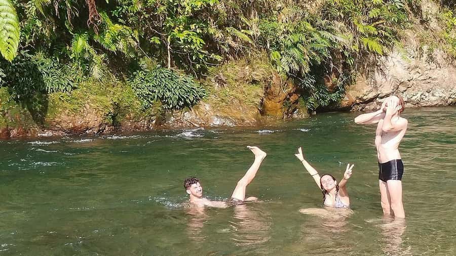 Medan: Bukit Lawang Orangutan Tour - Key points to know before booking