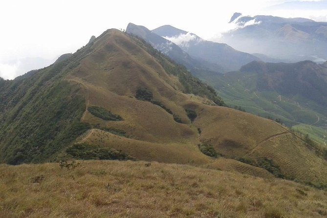 Meesapulimala Sunrise trek( By Munnar Info) - Forests, pine plantations, and open mountain meadows