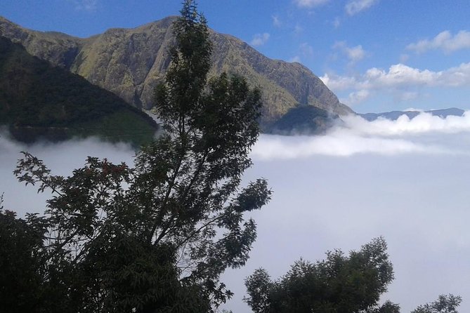 Meesapulimala Sunrise trek( By Munnar Info) - What the guides add to the morning