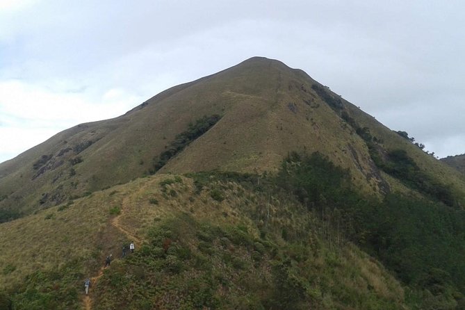 Meesapulimala Sunrise trek( By Munnar Info) - The climb to the summit and sunrise views