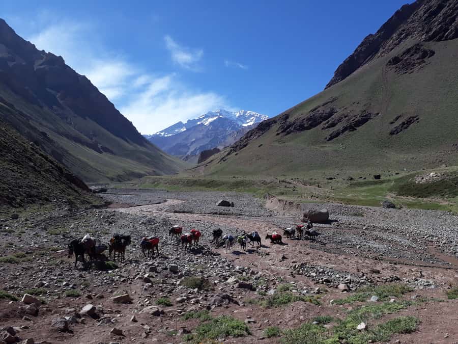 Mendoza: Mt. Aconcagua Confluencia Camp Trekking - Why Confluencia is a smart introduction to Aconcagua