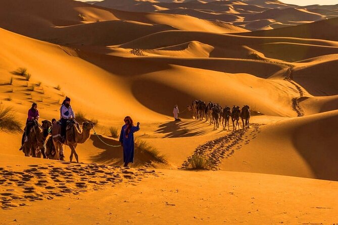 MERZOUGA DESERT TREK - 3 DAYS From Marrakech - Roses, valleys, and the first night in Dades