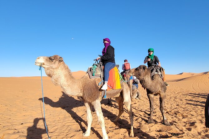 MERZOUGA DESERT TREK - 3 DAYS From Marrakech - Sunrise, camels, and the return to Marrakech