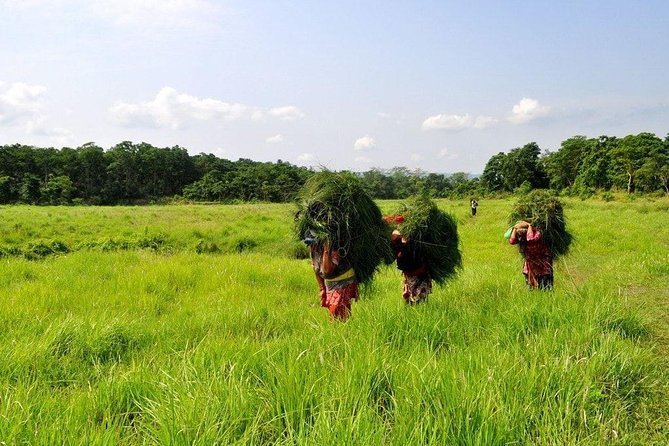 Millennium Homestay Trek - Rangrung, Thulo Hattiya, and Newari food