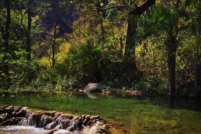 Moderate Himalayan Treks Near Rishikesh From Delhi - What Makes This Trip Worth Considering