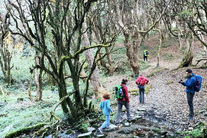 Mohare Danda Trek - Day 4: Toward Nagi Through Nature and Village Life