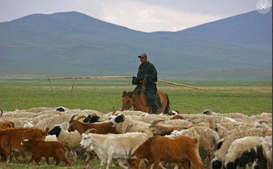 MONGOLIAN NOMADS: 2-Day Horse Trekking & Cow Milking Tour - What the $369 price really covers