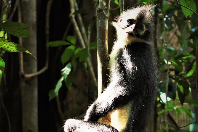 Monkey Business 2 days - 1 night Jungle Trekking (including rafting) - Should You Book Monkey Business 2 Days?