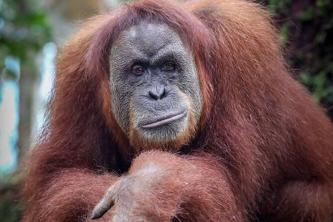 Monkey Business 3 days - 2 nights Jungle trekking (including rafting) - What to pack for two nights outdoors