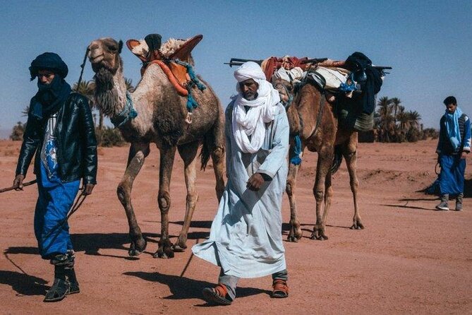 Morocco Desert Trek 4 Days: 2 days on foot in Morocco - What this Morocco desert trek really offers