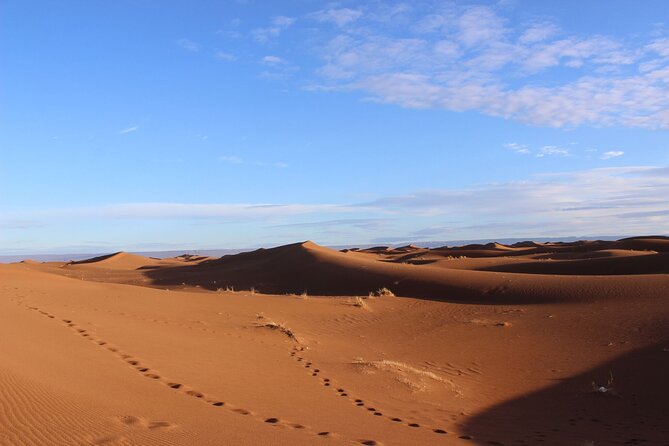 Morocco desert trek (8 days) - Camp life, food, and the work done for you