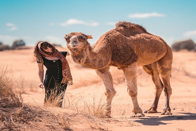Morocco desert trek dromedary Mhamid dunes - Weather, cancellation, and the details to confirm