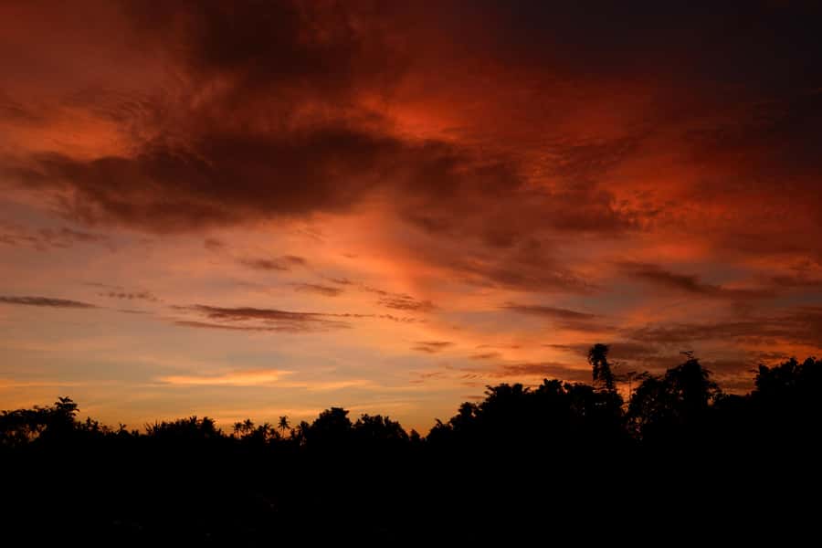 Mount Batur Sunrise Trek & Hot Springs Tour - The early pickup and drive to Kintamani