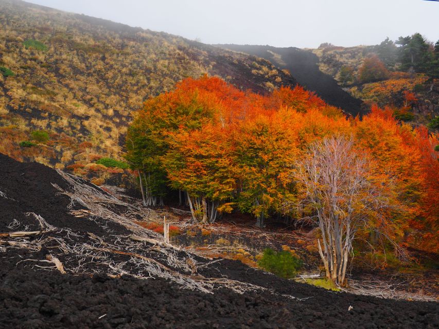Mount Etna: Trek to the Craters of The 2002 Eruption - Who will enjoy this Etna walk most