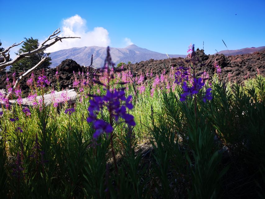 Mount Etna: Trek to the Craters of The 2002 Eruption - Cancellation and booking flexibility