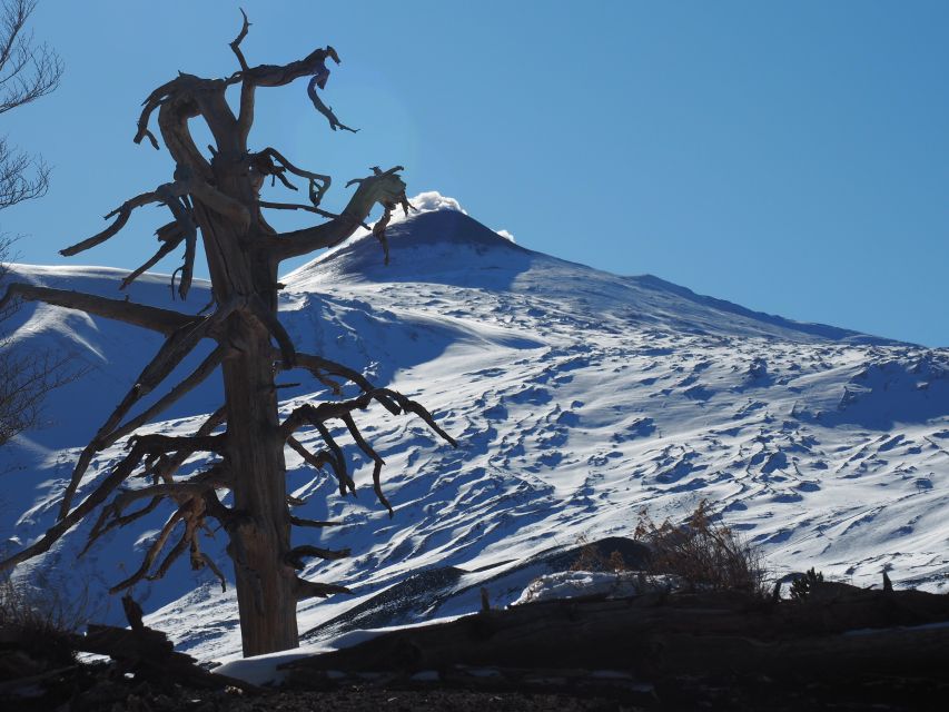 Mount Etna: Trek to the Craters of The 2002 Eruption - Meeting your guide at Piano Provenzana
