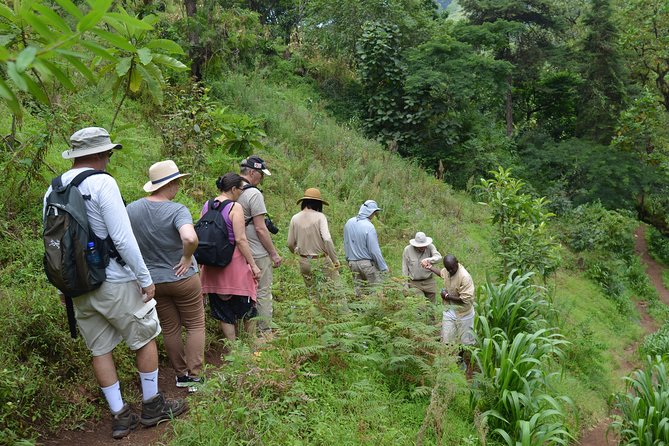 Mount Kilimanjaro day trip trekking - Transport, timing, and group size