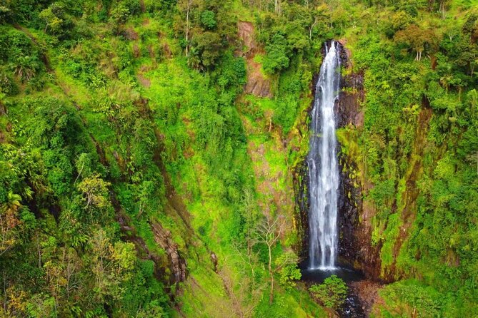 Mount Kilimanjaro day trip trekking - Is $90 per person good value?