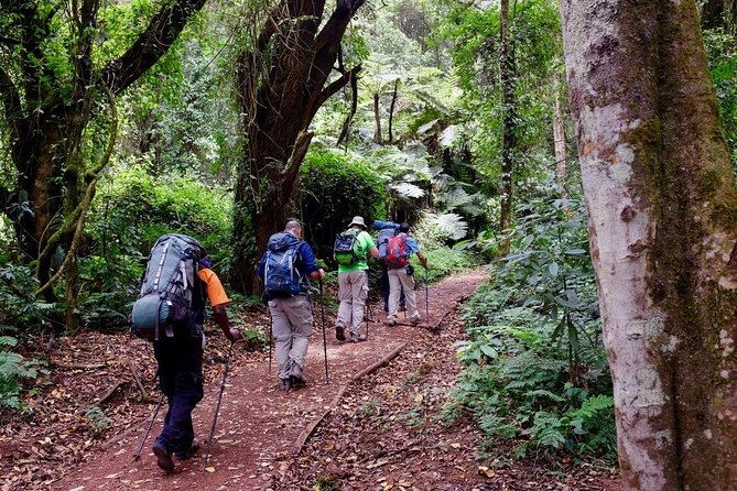 Mount Kilimanjaro Trek 7-Days: Lemosho Route - Day 4: Lava Tower at 4,640 meters, then Barranco