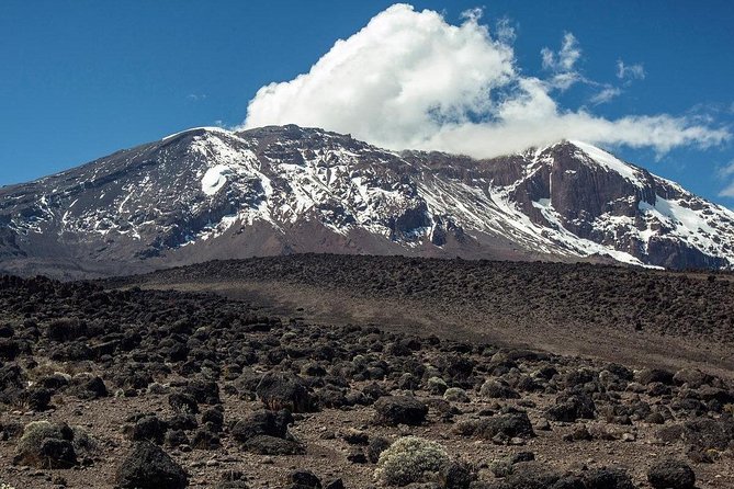 Mount Kilimanjaro Trek 7-Days: Lemosho Route - Day 5: Barranco Wall, Karanga, and Barafu Camp