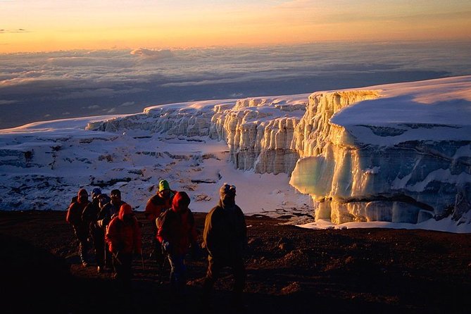 Mount Kilimanjaro Trek 7-Days: Lemosho Route - Day 7: Rainforest, Mweka Gate, and a proper shower