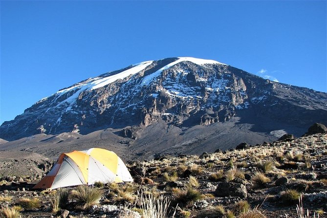 Mount Kilimanjaro Trek 7-Days: Lemosho Route - Day 1: Forest paths to Big Tree Camp