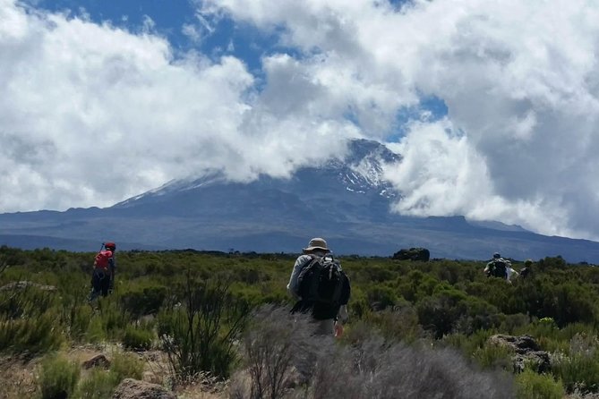 Mount Kilimanjaro Trek 8 days Lemosho Route - Day 3: Shira Plateau, Shira Cathedral, and Moir Hut