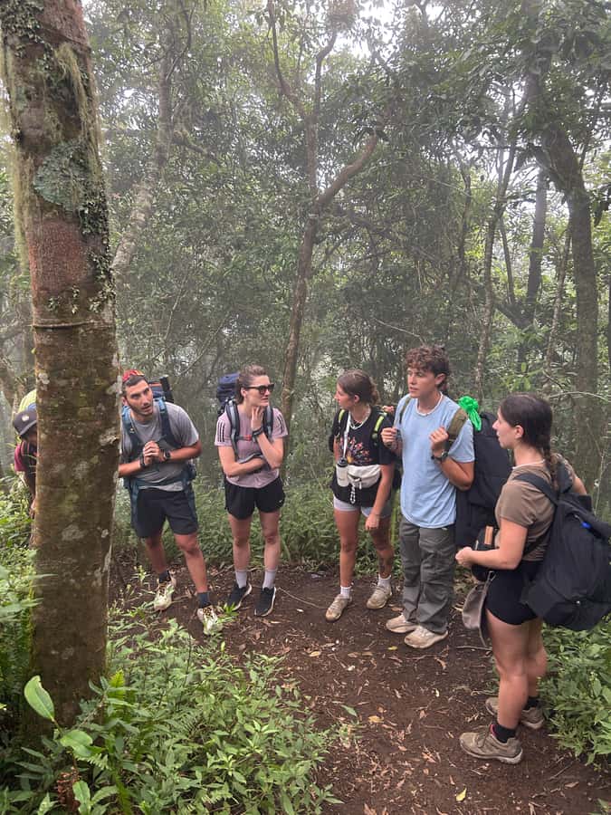 Mount Rinjani: 2D-1N Trekking Summit Sunrise Point Join Tour - The descent back to Sembalun