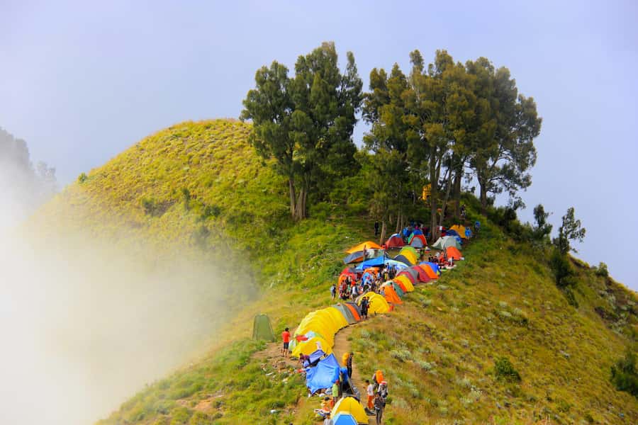 Mount Rinjani: 2D/1N Trekking To Sembalun Or Senaru Views - The essential details at a glance