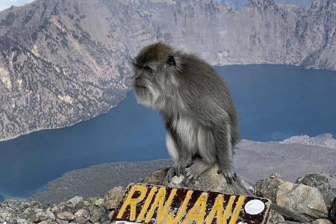 Mount Rinjani 2D 1N trekking to summit - What the $160 price covers