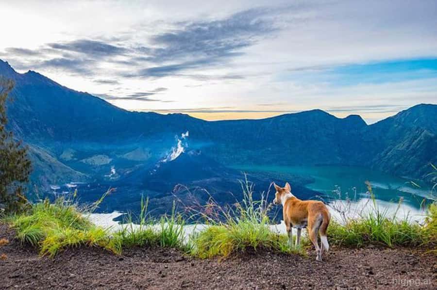 mount rinjani One day trek - How hard is the one-day route?