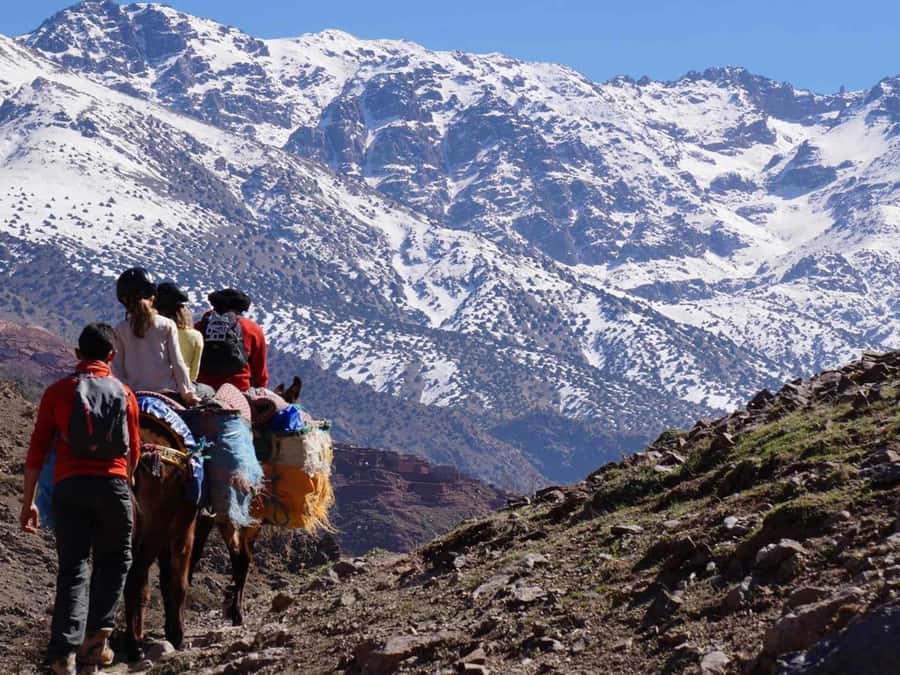 Mount Toubkal Trek 2 Days & 1 Night - Who should book this Toubkal trek?
