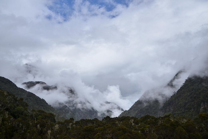 Mountain Rwenzori Trekking Uganda 9 Day Safari - Why the Rwenzori route feels different