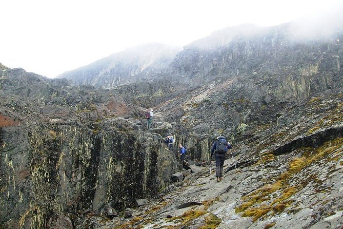 Mountain Rwenzori Trekking Uganda 9 Day Safari - Day 3: Bamboo forest, boulders, and John Matte Hut