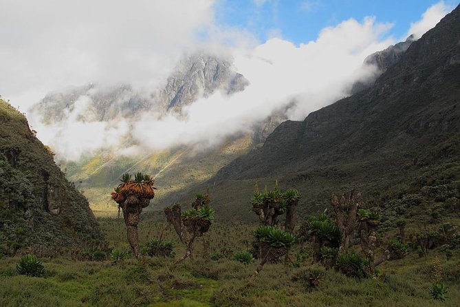 Mountain Rwenzori Trekking Uganda 9 Day Safari - Day 4: Bigo Bog and Lake Bujuku at 3,977 meters