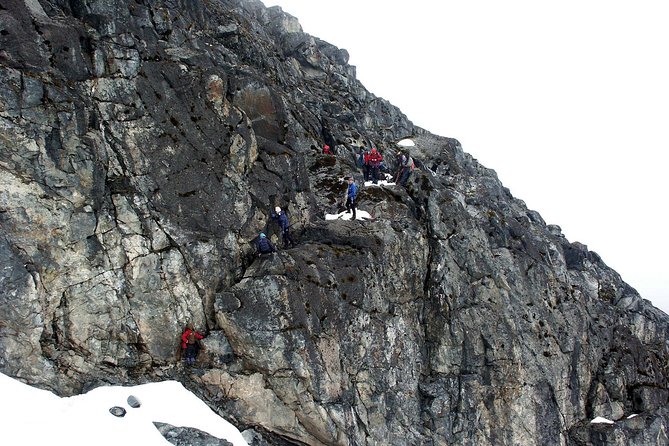 Mountain Rwenzori Trekking Uganda 9 Day Safari - Day 5: Scott Eliot Pass and Elena Hut