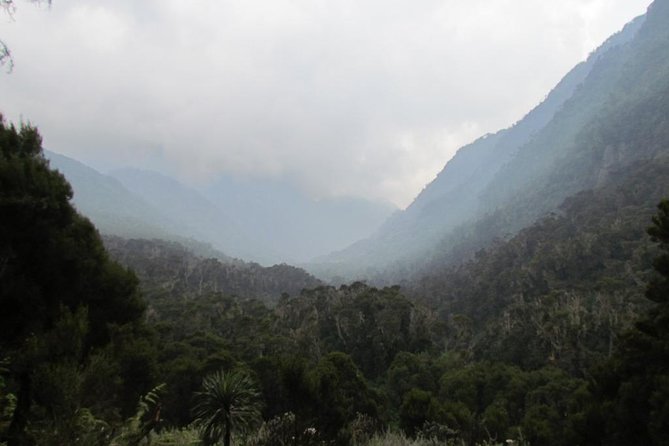 Mountain Rwenzori Trekking Uganda 9 Day Safari - Day 7: Freshfield Pass and the long descent to Guy Yeoman Hut