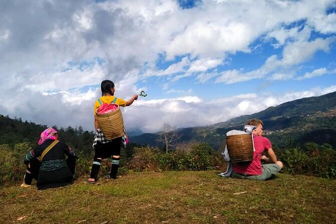 Mountain views and villages trek – 1 Day - Hau Thao, Giang Ta Chai, and the return to Sapa