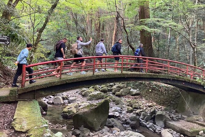 Mt. Inunaki Trekking and Goma Prayer Experience in Osaka - Key points to know before booking