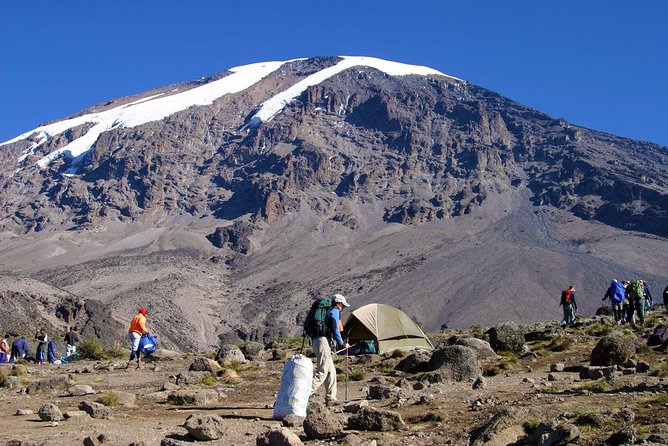 Mt Kilimanjaro 360° Trek with Once-in-a-Lifetime Crater Camping - Day 3: Across Shira Plateau to Shira Camp Two
