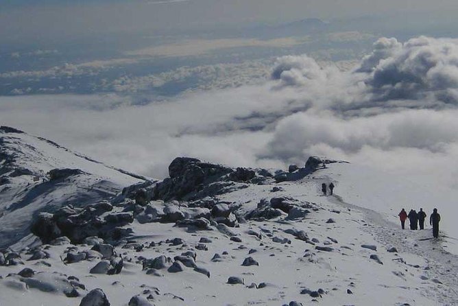 Mt Kilimanjaro Trek, 6 Days - Umbwe Route - Day 1: Umbwe Gate to 2,850 meters