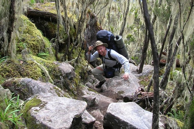 Mt Kilimanjaro Trek, 6 Days - Umbwe Route - Day 5: Stella Point, Uhuru Peak, and Mweka Camp
