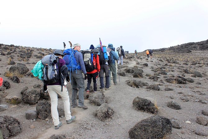 Mt Kilimanjaro Trek, 6 Days - Umbwe Route - Day 6: Mweka Camp to the park gate