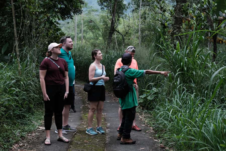 Mt. Merapi Majesty: Soft Trek and Botanic Village Tour - Key points at a glance