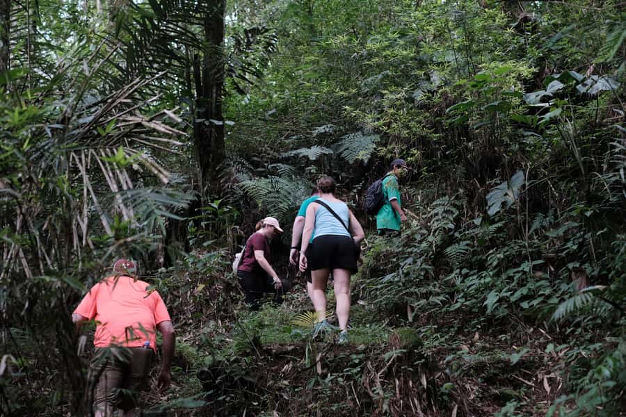 Mt. Merapi Majesty: Soft Trek and Botanic Village Tour - Why this Merapi outing feels different