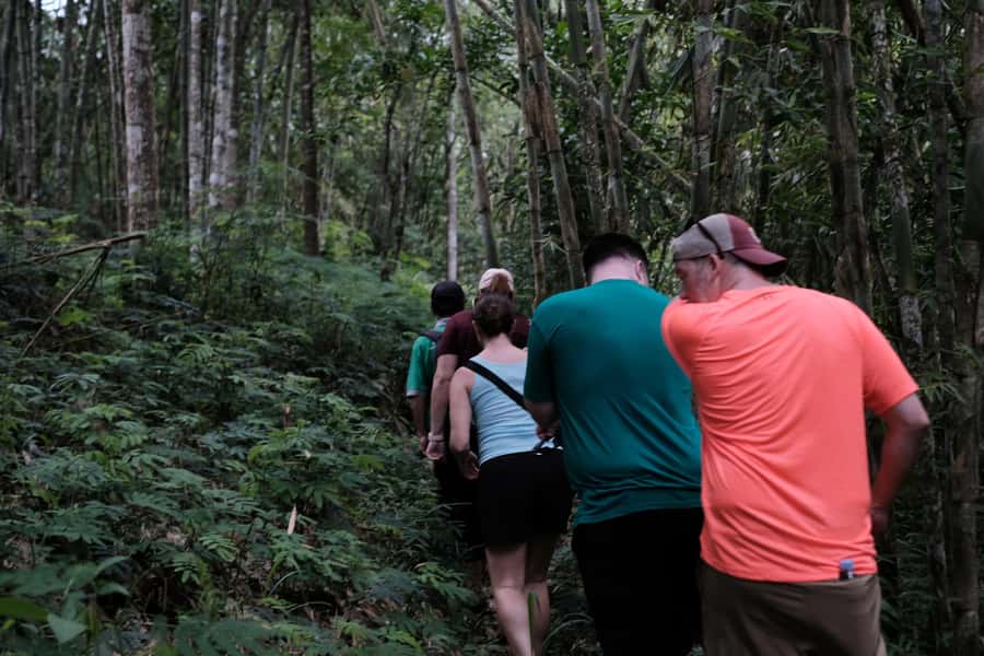 Mt. Merapi Majesty: Soft Trek and Botanic Village Tour - Walking through forest, gardens, and village paths
