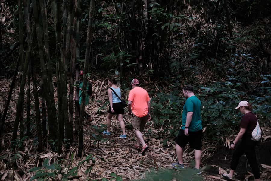 Mt. Merapi Majesty: Soft Trek and Botanic Village Tour - Meeting the community below Merapi
