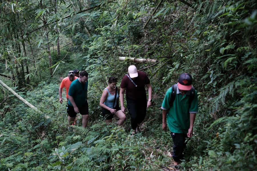 Mt. Merapi Majesty: Soft Trek and Botanic Village Tour - The mountain view, and the weather problem